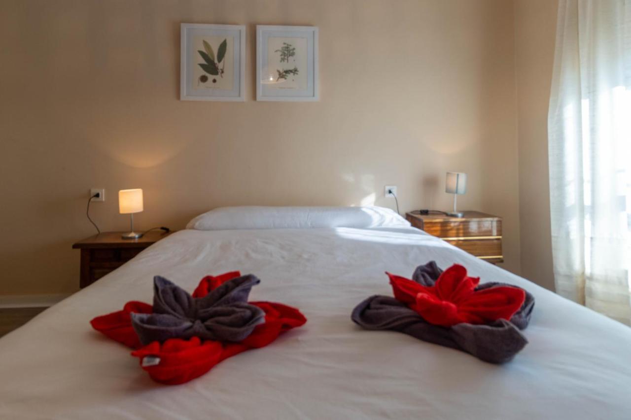 El Puente Apartament Zamora